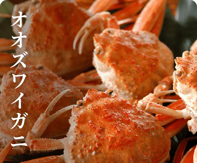 オオズワイガニ